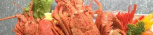 Glen Eden seafood
